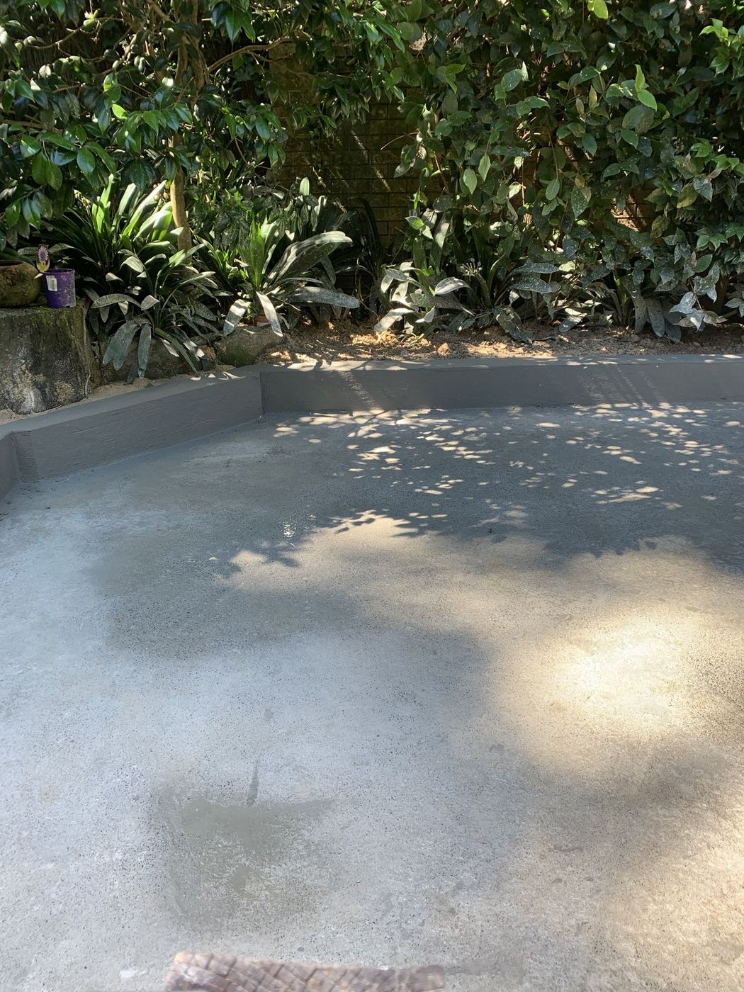 Concrete finished to rear yard Chatswood