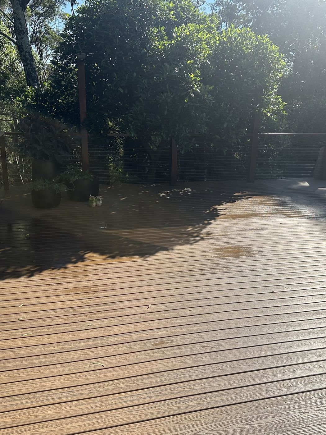 Finished deck and wire balustrade Bexley
