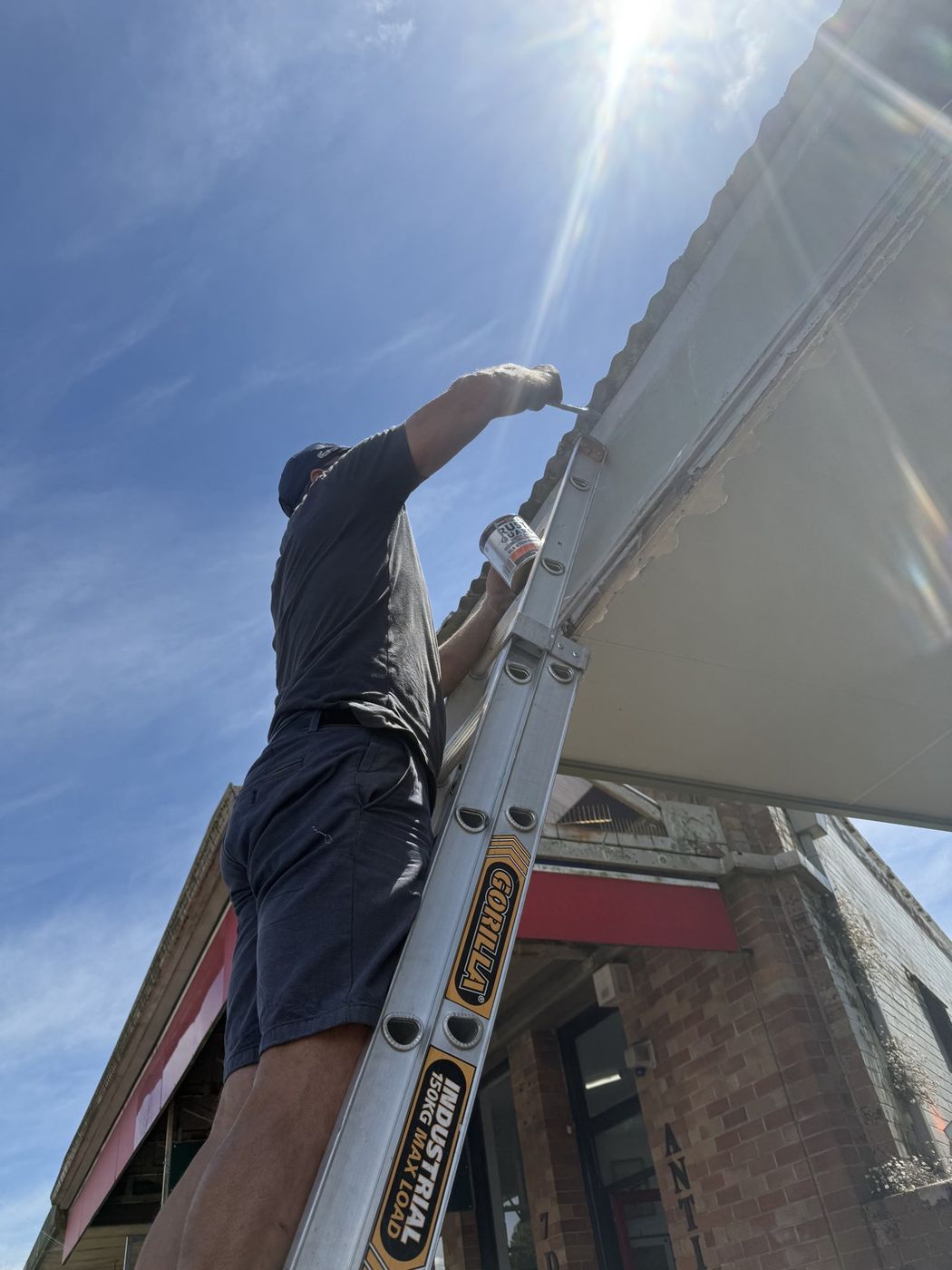 Fascia and flashing works from ladder Blackheath