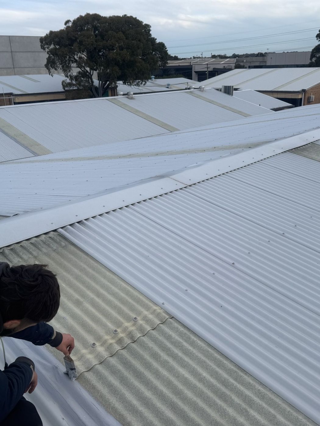 New roof sheeting installed strata property