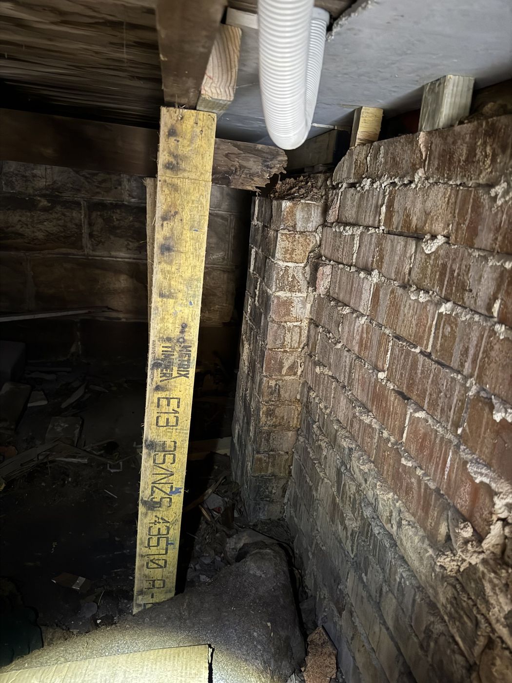 Timber propping to subfloor Cammeray